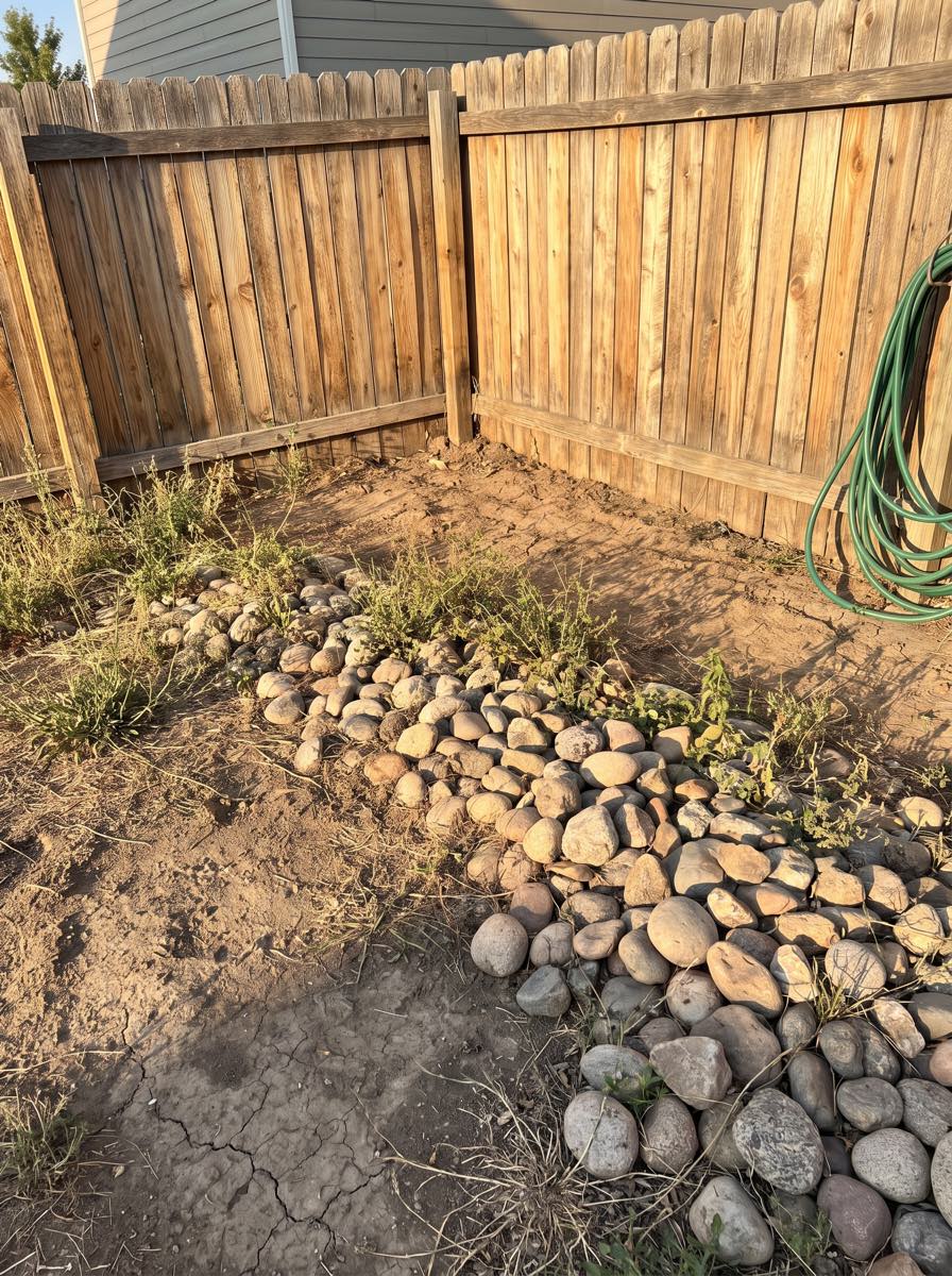 The corner of the Littleton yard before the patio: dirt, a rock pile and a hose.